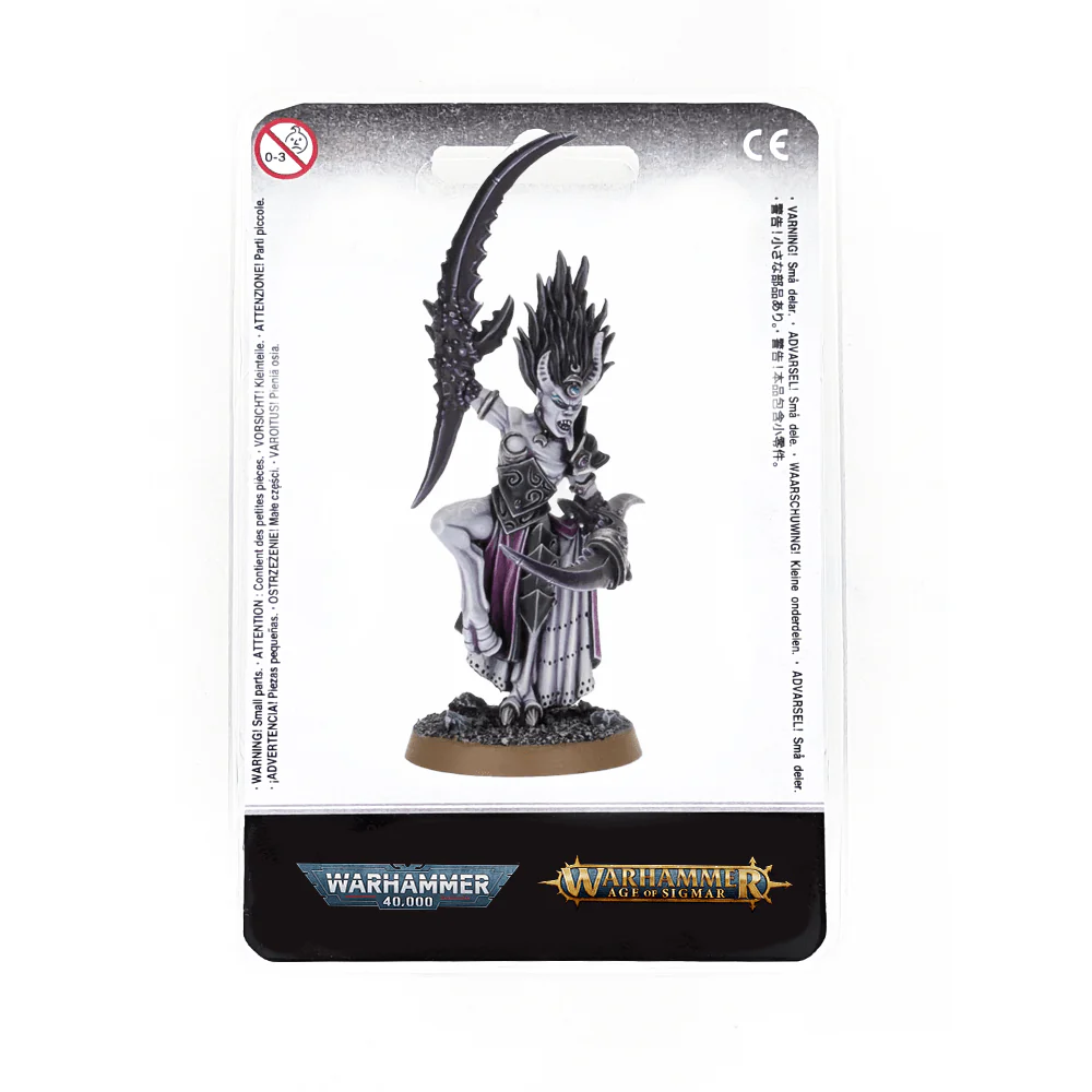 Chaos Daemons Herald of Slaanesh